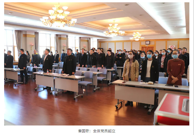 中共齐齐哈尔市不动产登记中心委员会第一届党委委员选举大会胜利召开5.jpg