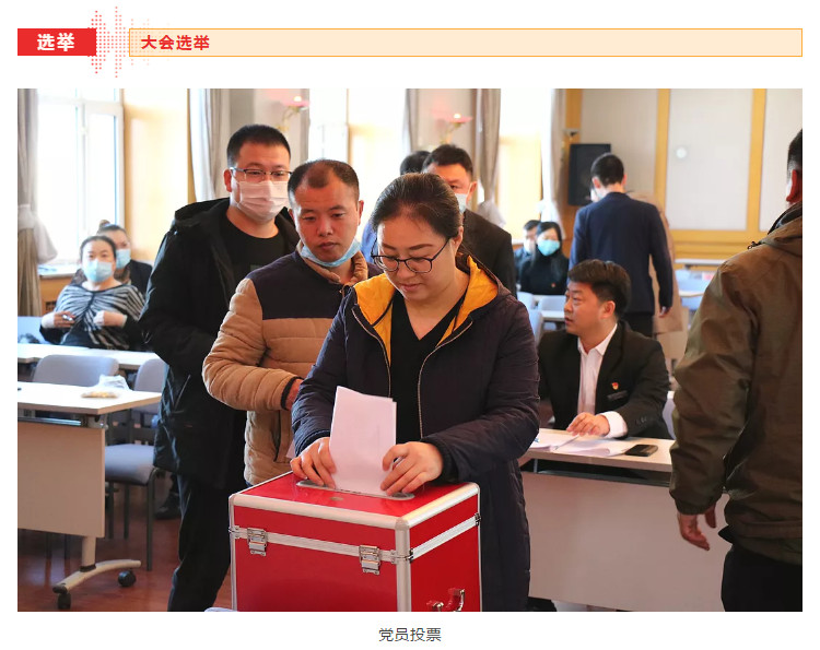 中共齐齐哈尔市不动产登记中心委员会第一届党委委员选举大会胜利召开9.jpg